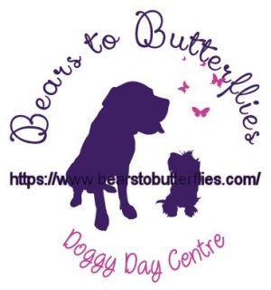 BEARS TO BUTTERFLIES